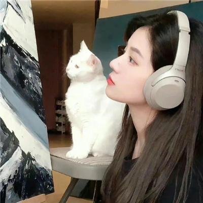 人海孤鸿 封面